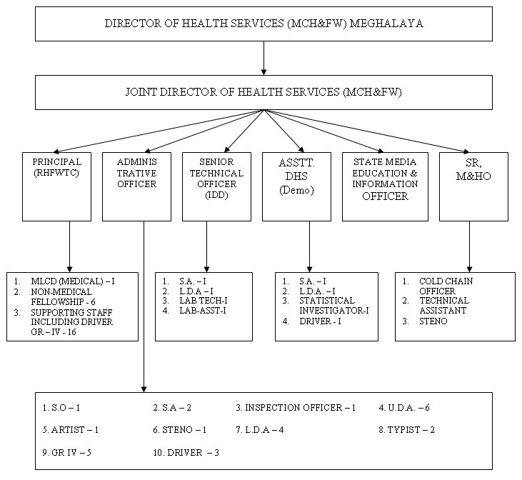 Organisational Chart of Directorate of Health Services (Maternal Child Health and Family Welfare)