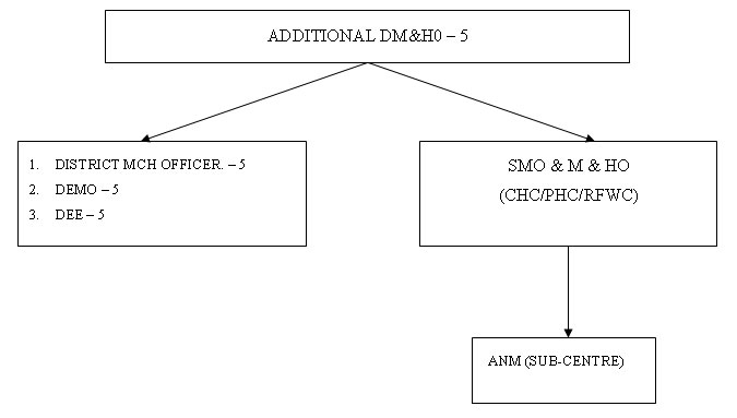 Organisational Diagram