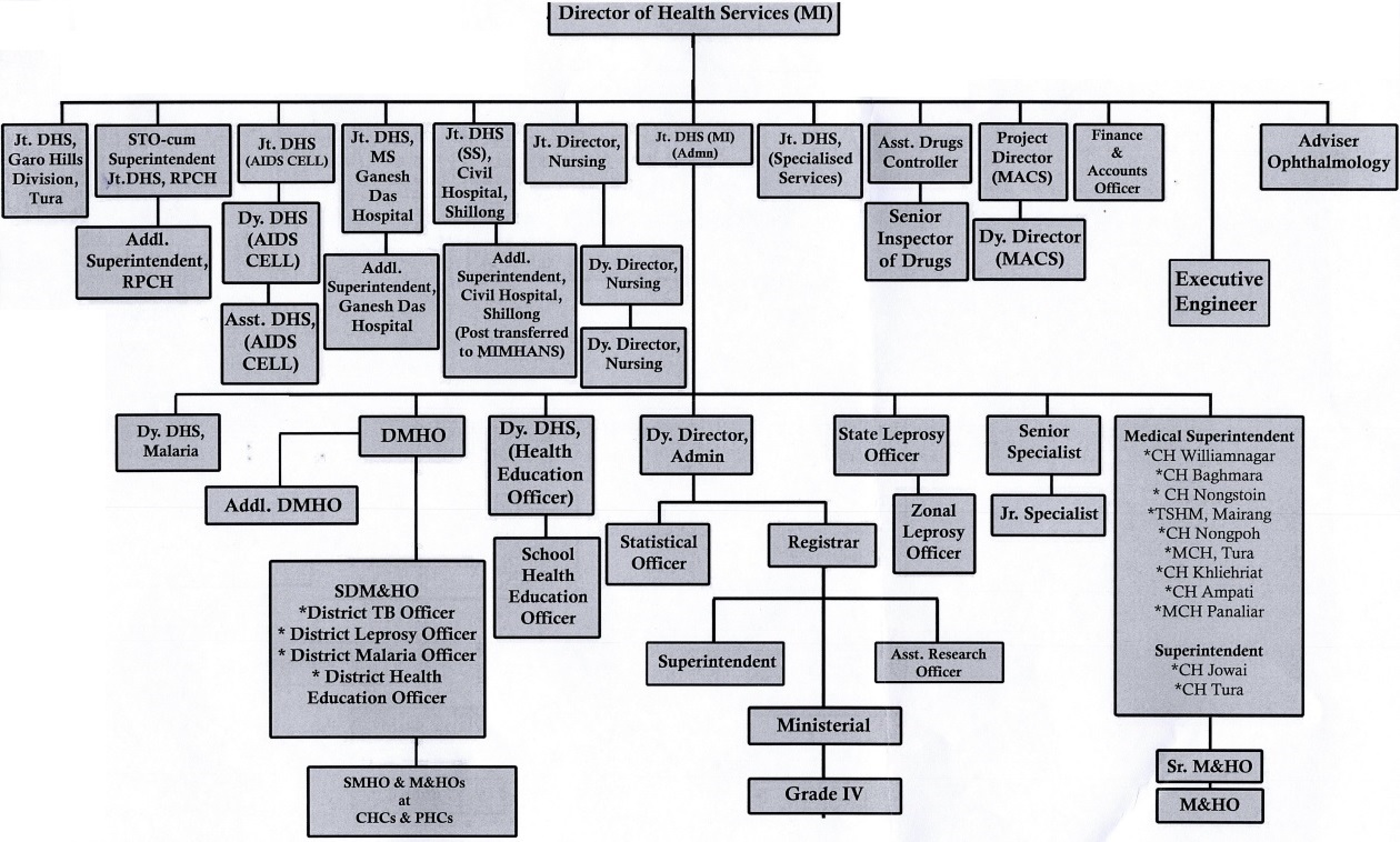 Organisational Structure of Directorate of Health Services Medical Institutions