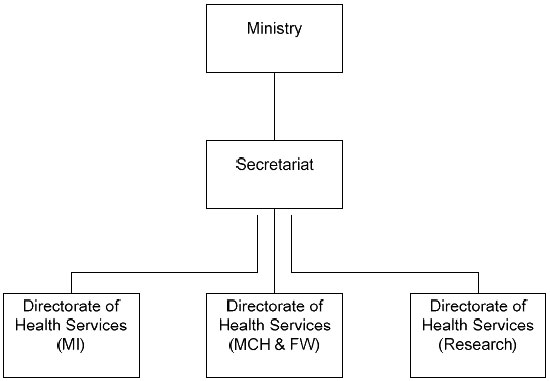 Organisational Structure